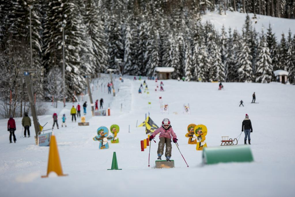Dorf-chalets Mit Sauna Filzmoos
