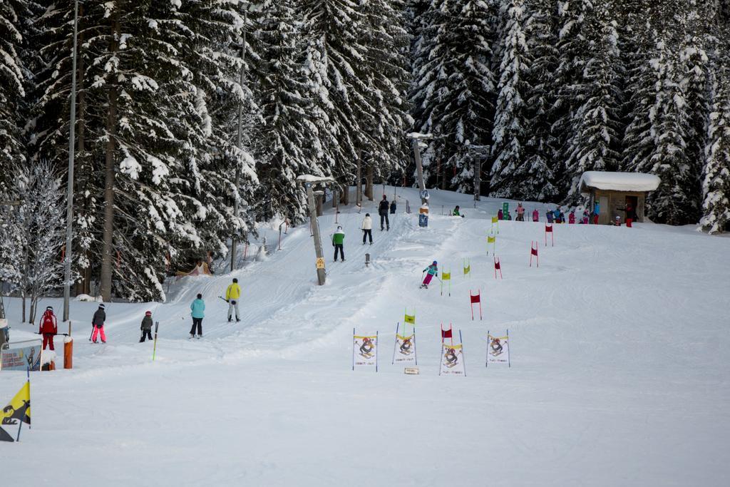 Dorf-chalets Mit Sauna Chalet